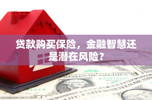 溆浦贷款购买保险，金融智慧还是潜在风险？