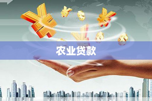 溆浦农业贷款