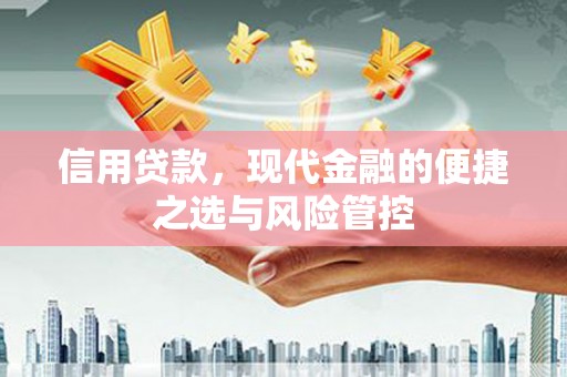 溆浦信用贷款，现代金融的便捷之选与风险管控