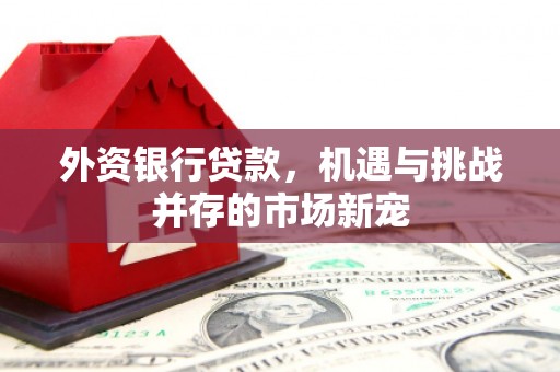 溆浦外资银行贷款，机遇与挑战并存的市场新宠