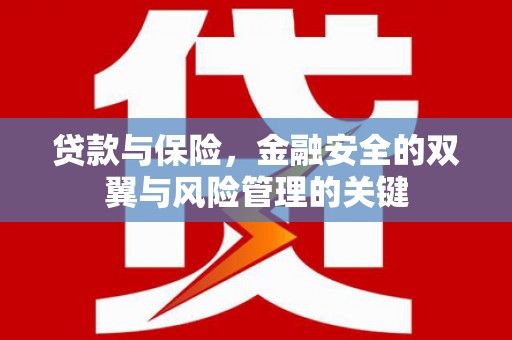 溆浦贷款与保险，金融安全的双翼与风险管理的关键