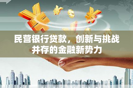 溆浦民营银行贷款，创新与挑战并存的金融新势力