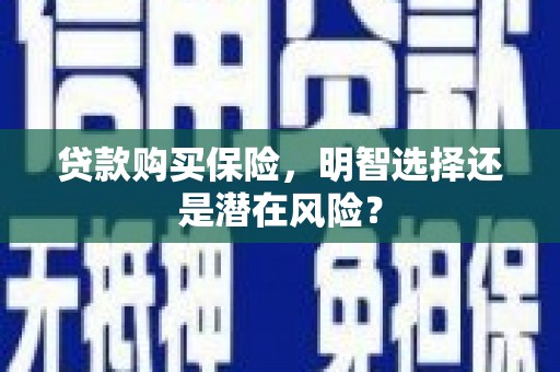 溆浦贷款购买保险，明智选择还是潜在风险？