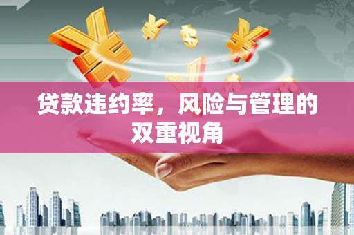 溆浦贷款违约率，风险与管理的双重视角