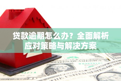 溆浦贷款逾期怎么办？全面解析应对策略与解决方案
