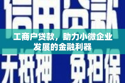 溆浦工商户贷款，助力小微企业发展的金融利器