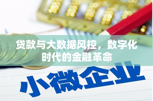 溆浦贷款与大数据风控，数字化时代的金融革命