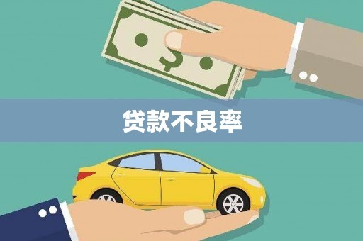 溆浦贷款不良率