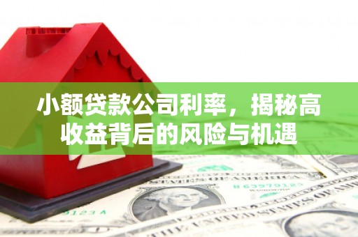 溆浦小额贷款公司利率，揭秘高收益背后的风险与机遇