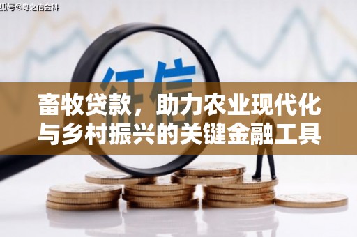 溆浦畜牧贷款，助力农业现代化与乡村振兴的关键金融工具