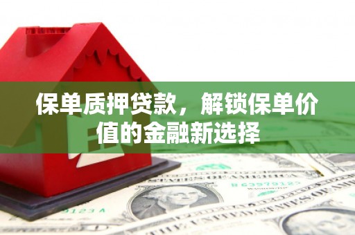 溆浦保单质押贷款，解锁保单价值的金融新选择