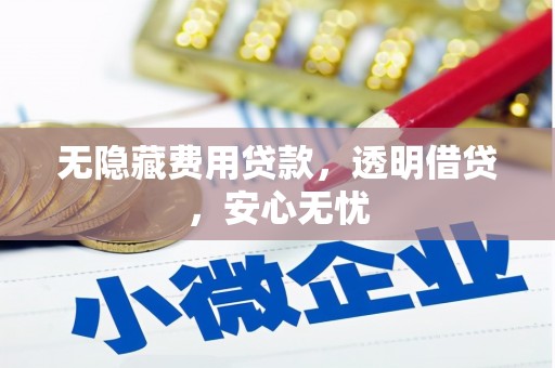溆浦无隐藏费用贷款，透明借贷，安心无忧