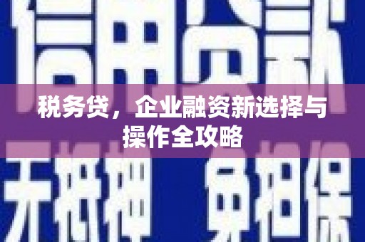 溆浦税务贷，企业融资新选择与操作全攻略