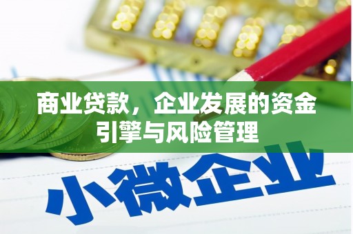溆浦商业贷款，企业发展的资金引擎与风险管理