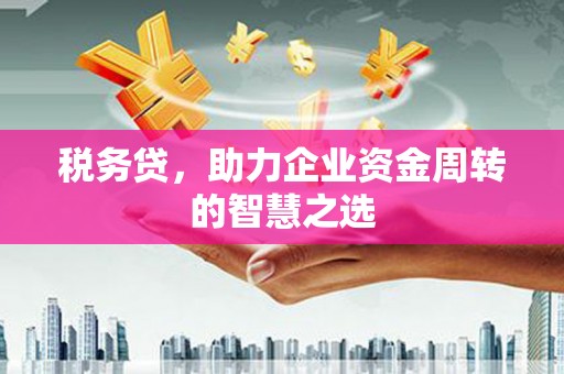溆浦税务贷，助力企业资金周转的智慧之选