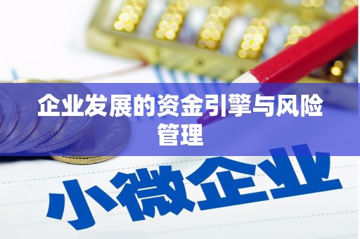 溆浦企业发展的资金引擎与风险管理