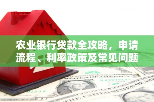 溆浦农业银行贷款全攻略，申请流程、利率政策及常见问题解析
