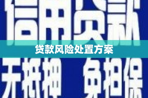 溆浦贷款风险处置方案