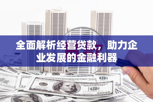 溆浦全面解析经营贷款，助力企业发展的金融利器