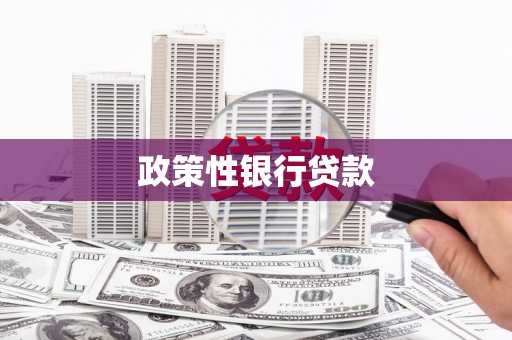 溆浦政策性银行贷款