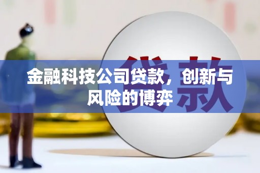 溆浦金融科技公司贷款，创新与风险的博弈
