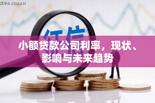 溆浦小额贷款公司利率，现状、影响与未来趋势