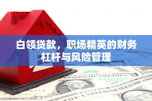 溆浦白领贷款，职场精英的财务杠杆与风险管理