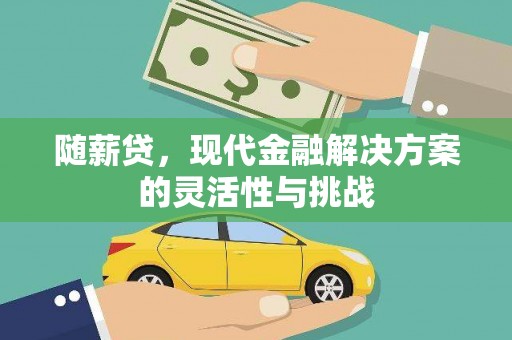 溆浦随薪贷，现代金融解决方案的灵活性与挑战