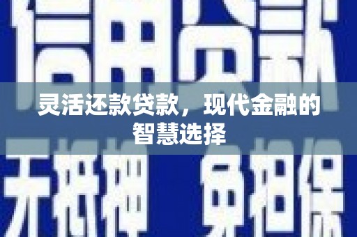 溆浦灵活还款贷款，现代金融的智慧选择