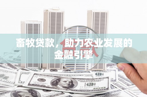 溆浦畜牧贷款，助力农业发展的金融引擎