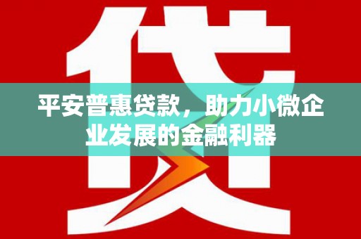 溆浦平安普惠贷款，助力小微企业发展的金融利器