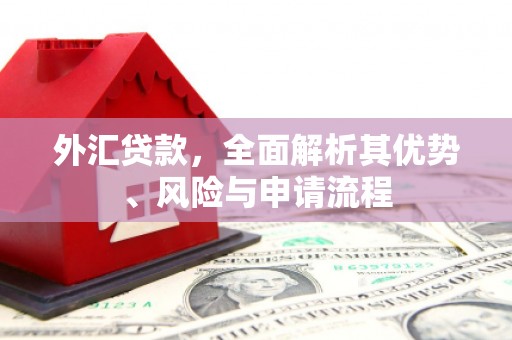 溆浦外汇贷款，全面解析其优势、风险与申请流程