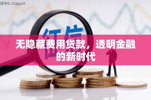 溆浦无隐藏费用贷款，透明金融的新时代