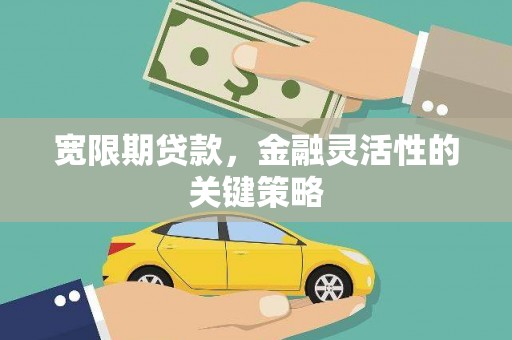 溆浦宽限期贷款，金融灵活性的关键策略