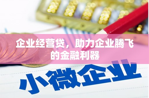 溆浦企业经营贷，助力企业腾飞的金融利器