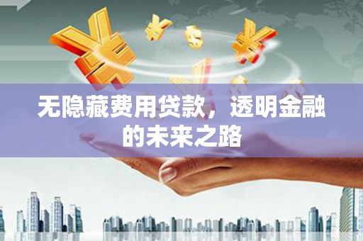 溆浦无隐藏费用贷款，透明金融的未来之路