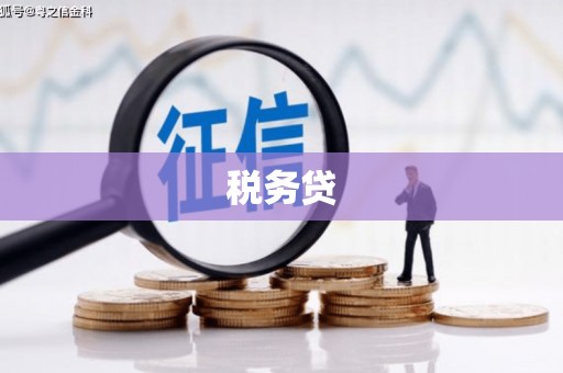 溆浦税务贷