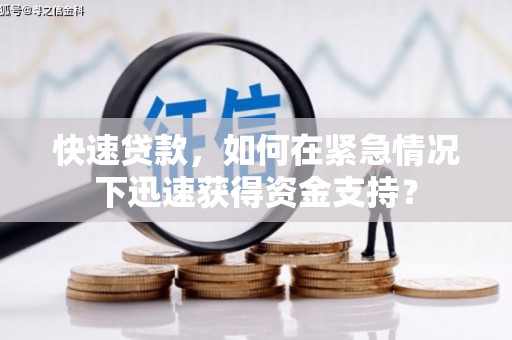 溆浦快速贷款，如何在紧急情况下迅速获得资金支持？