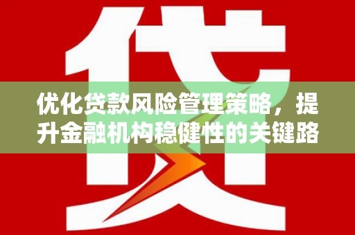 溆浦优化贷款风险管理策略，提升金融机构稳健性的关键路径
