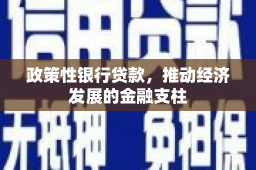 溆浦政策性银行贷款，推动经济发展的金融支柱