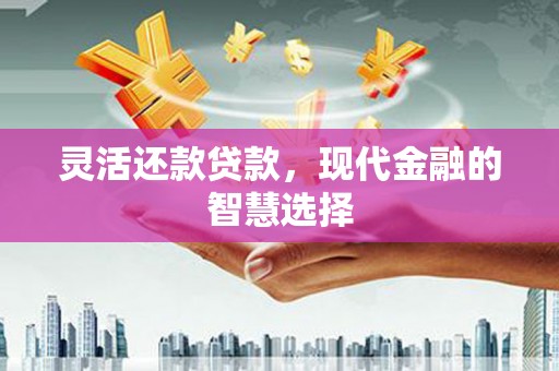 溆浦灵活还款贷款，现代金融的智慧选择