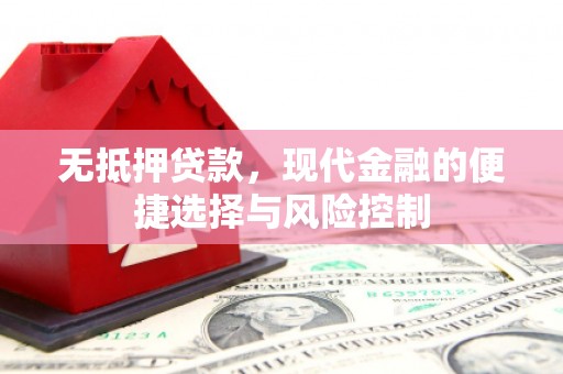 溆浦无抵押贷款，现代金融的便捷选择与风险控制