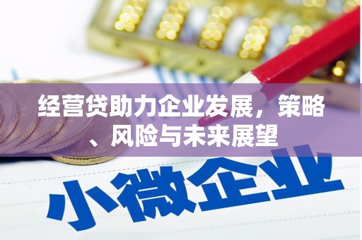 溆浦经营贷助力企业发展，策略、风险与未来展望