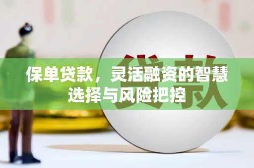 溆浦保单贷款，灵活融资的智慧选择与风险把控