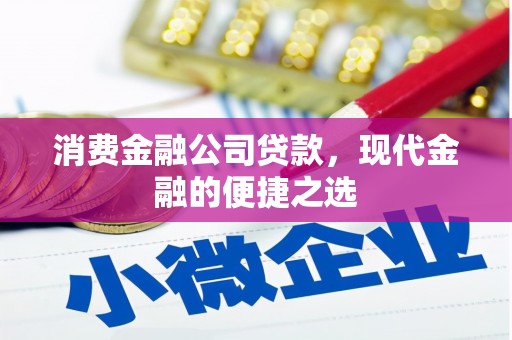 溆浦消费金融公司贷款，现代金融的便捷之选