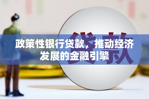 溆浦政策性银行贷款，推动经济发展的金融引擎