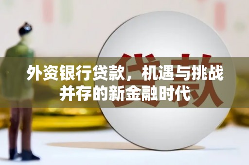 溆浦外资银行贷款，机遇与挑战并存的新金融时代