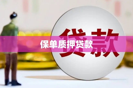 溆浦保单质押贷款