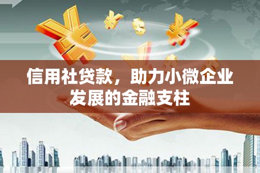 溆浦信用社贷款，助力小微企业发展的金融支柱
