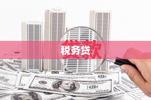 溆浦税务贷